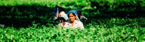 Lee más sobre el artículo Se realizó el primer encuentro “América Latina y África. Mujeres, tierra y trabajo” organizado por el CIPDH-UNESCO