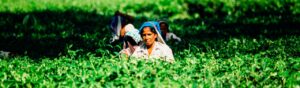 Lee más sobre el artículo Se realizó el primer encuentro “América Latina y África. Mujeres, tierra y trabajo” organizado por el CIPDH