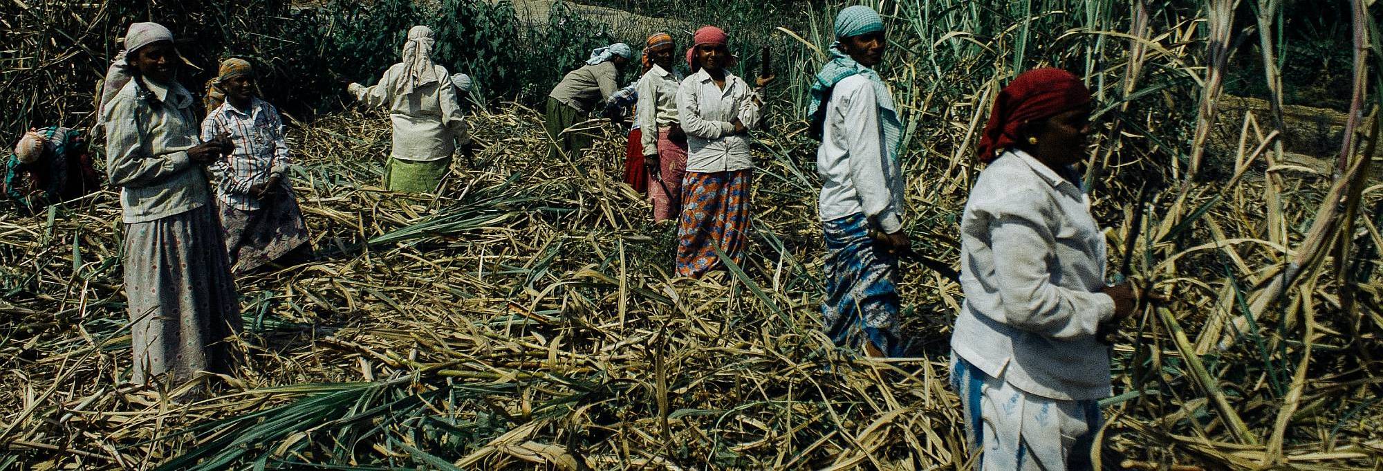 En este momento estás viendo MUJERES DE LA TIERRA. AMÉRICA LATINA, EL CARIBE Y ÁFRICA