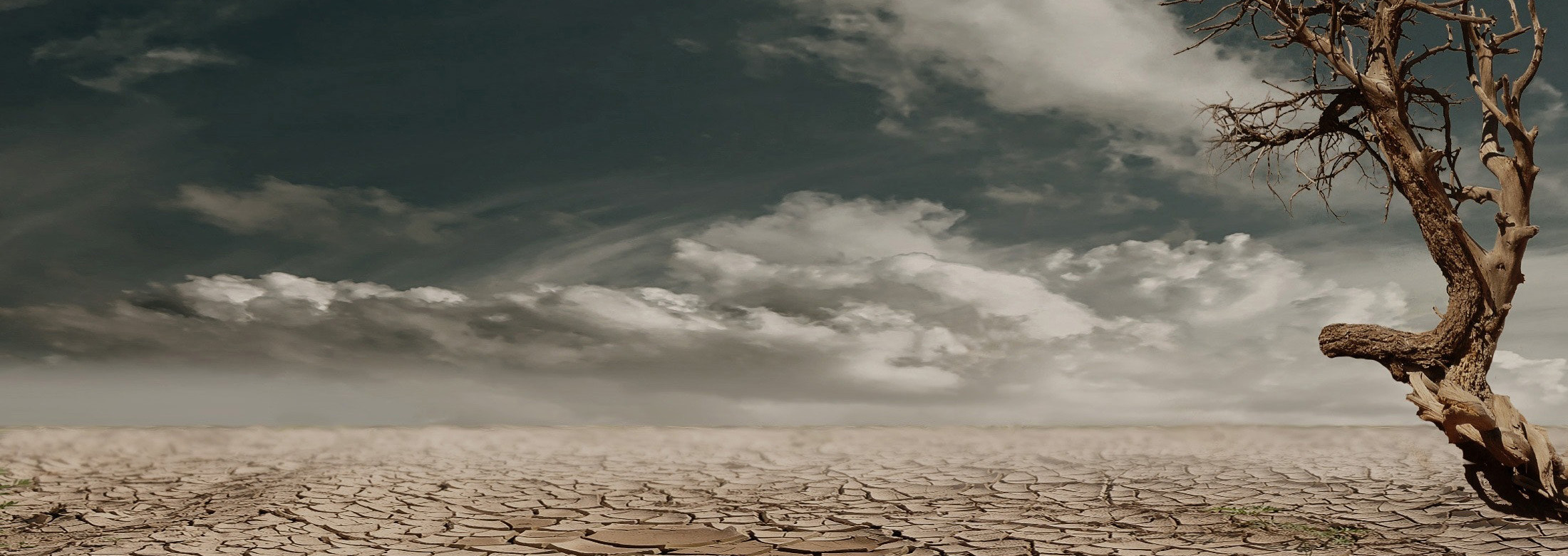 En este momento estás viendo 26 DE MARZO DÍA MUNDIAL DEL CLIMA