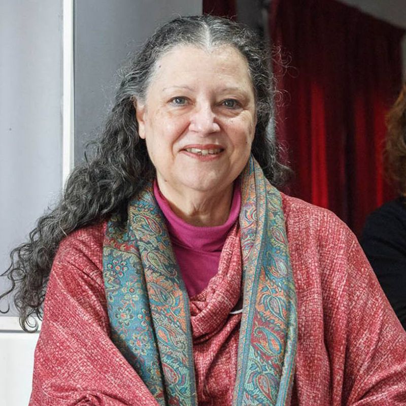 Diana Maffía Doctora en Filosofía de la Universidad de Buenos Aires