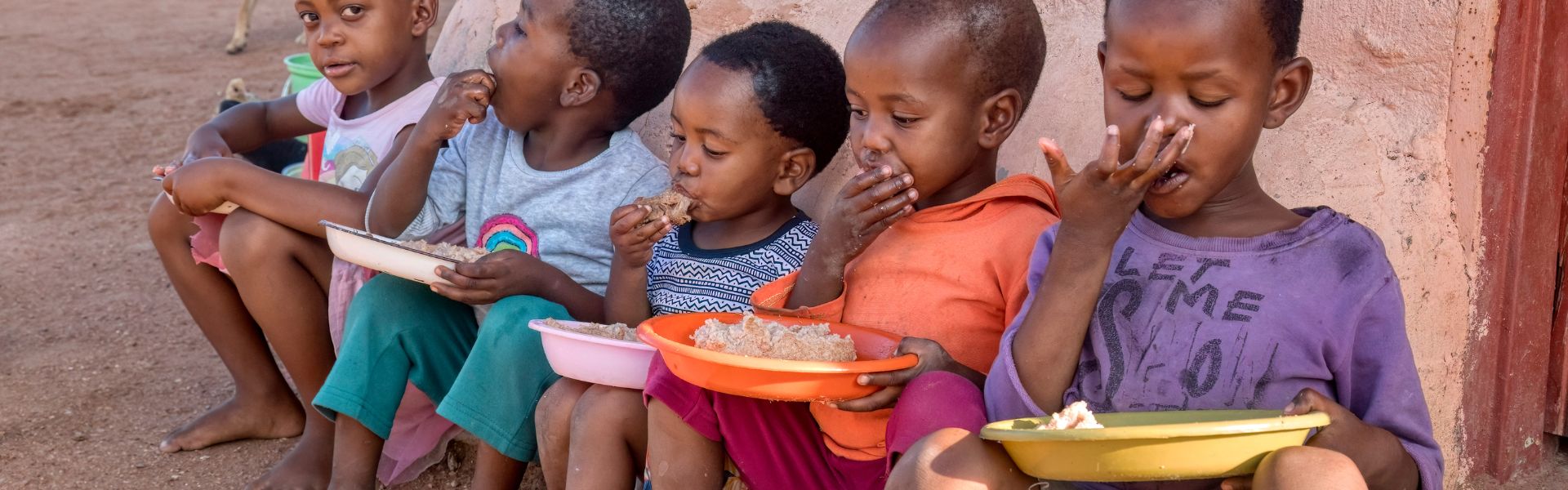 En este momento estás viendo Día Mundial De La Alimentación