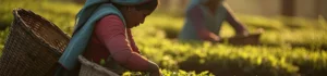 Mujeres agricultoras latinoamericanas
