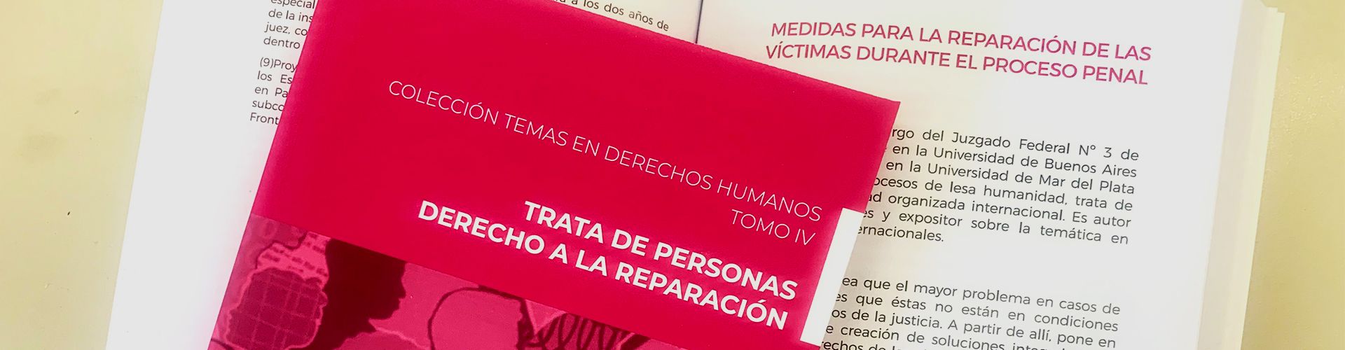 Libro Colección Temas en Derechos Humanos