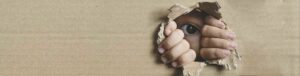 Lee más sobre el artículo CONCLUYÓ EL  VIII CURSO INTERNACIONAL DE DERECHOS HUMANOS DEL CIPDH